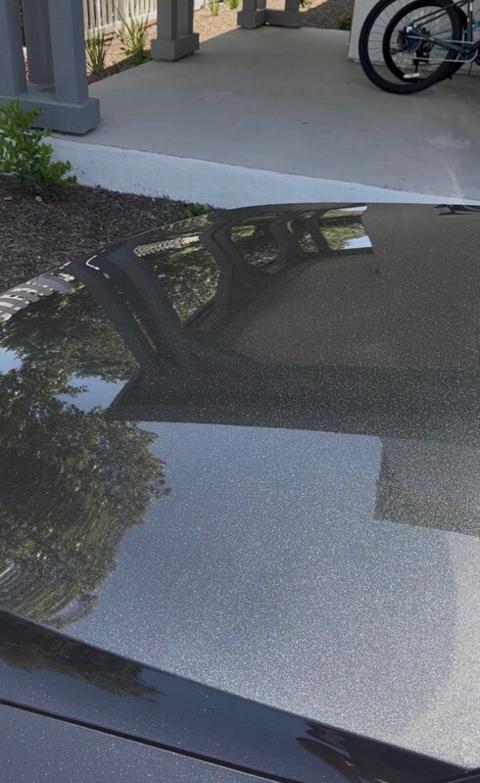 Clean, glossy car hood after a Signature Full Detail