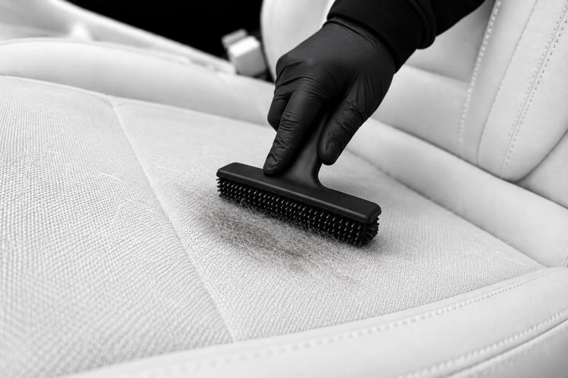 Detailer removing pet hair from car seat upholstery
